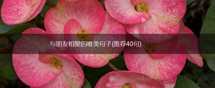 与朋友相聚的唯美句子(推荐40句),第1张