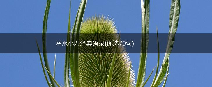 溺水小刀经典语录(优选70句),第1张