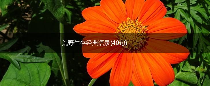 荒野生存经典语录(40句),第1张