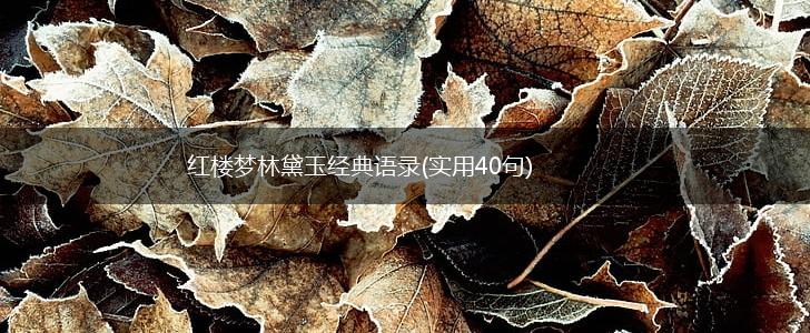 红楼梦林黛玉经典语录(实用40句),第1张