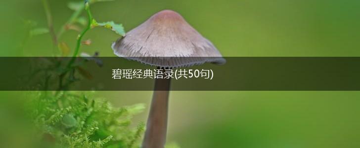 碧瑶经典语录(共50句),第1张
