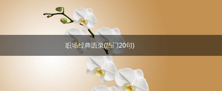 职场经典语录(热门20句),第1张 职场经典语录(热门20句),第1张