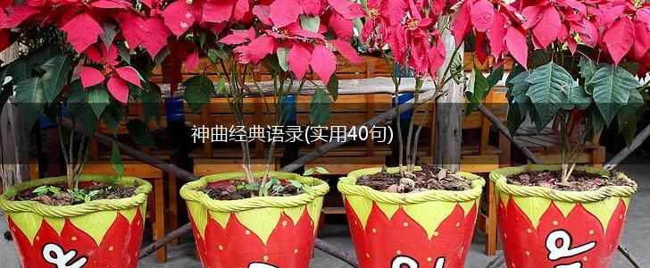 神曲经典语录(实用40句),第1张