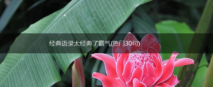 经典语录太经典了霸气(热门30句),第1张