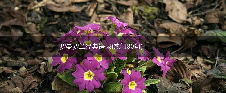 罗曼罗兰经典语录(热门80句),第1张 罗曼罗兰经典语录(热门80句),第1张