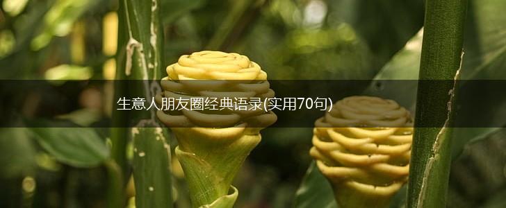 生意人朋友圈经典语录(实用70句),第1张