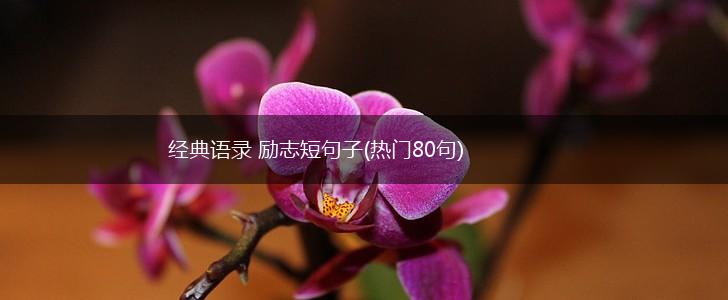 经典语录 励志短句子(热门80句),第1张