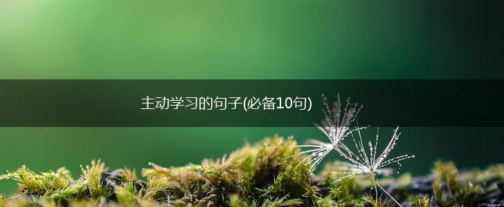 主动学习的句子(必备10句),第1张
