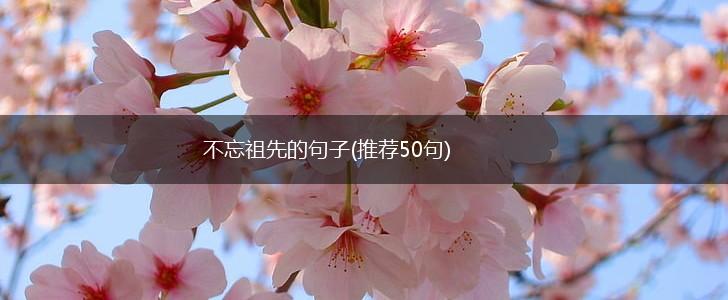 不忘祖先的句子(推荐50句),第1张
