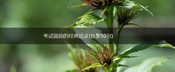 考试鼓励的经典语录(合集50句),第1张