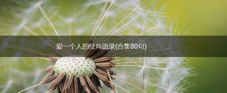 爱一个人的经典语录(合集80句),第1张