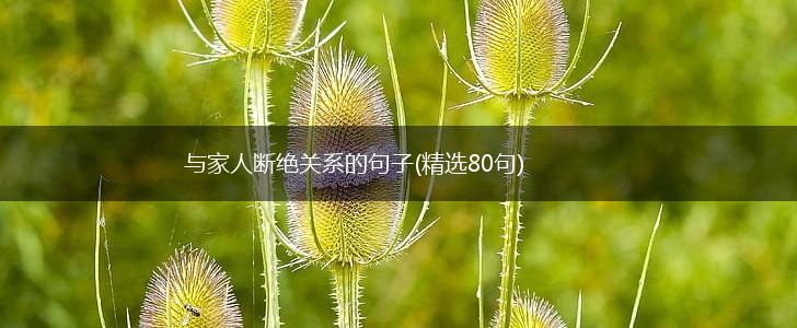 与家人断绝关系的句子(精选80句),第1张