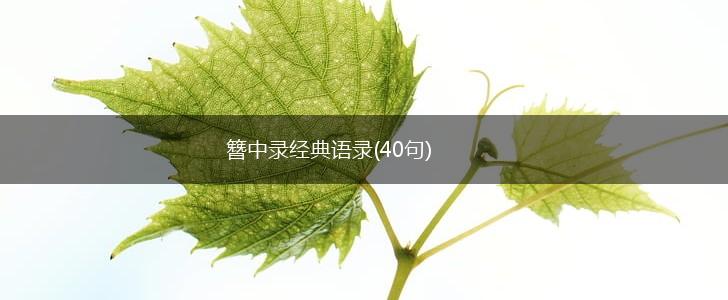 簪中录经典语录(40句),第1张