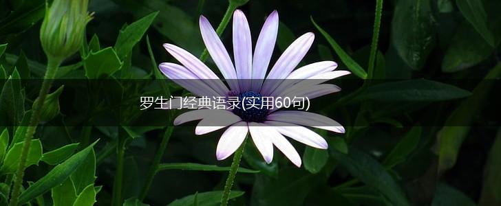 罗生门经典语录(实用60句),第1张