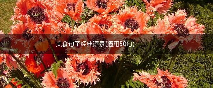 美食句子经典语录(通用50句),第1张