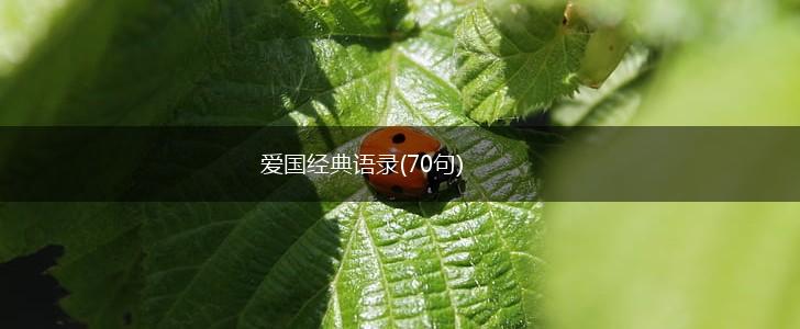 爱国经典语录(70句),第1张