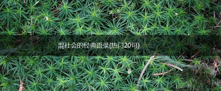 混社会的经典语录(热门20句),第1张