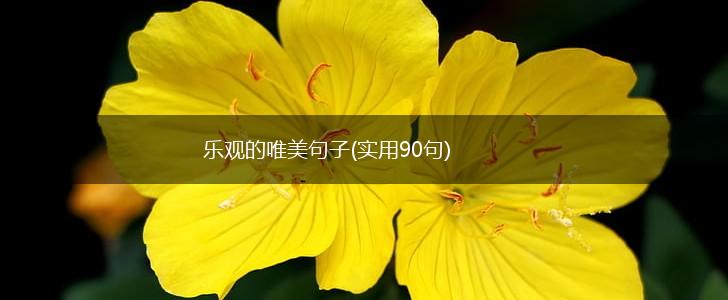 乐观的唯美句子(实用90句),第1张