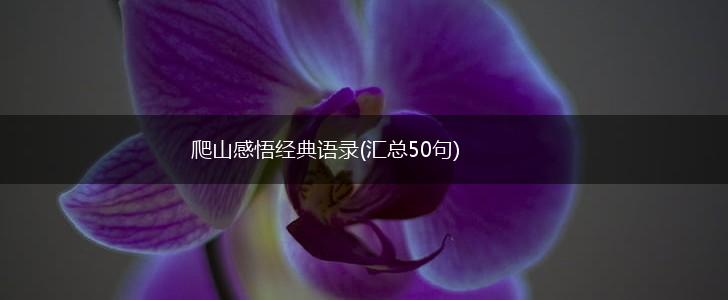 爬山感悟经典语录(汇总50句),第1张