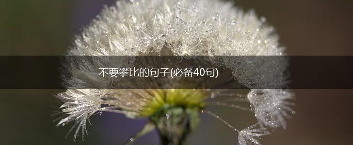 不要攀比的句子(必备40句),第1张