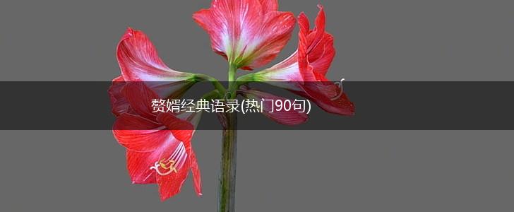 赘婿经典语录(热门90句),第1张