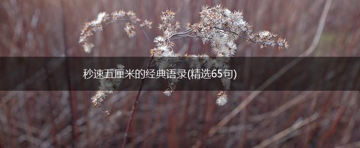 秒速五厘米的经典语录(精选65句),第1张 秒速五厘米的经典语录(精选65句),第1张