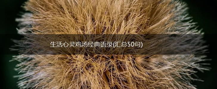 生活心灵鸡汤经典语录(汇总50句),第1张