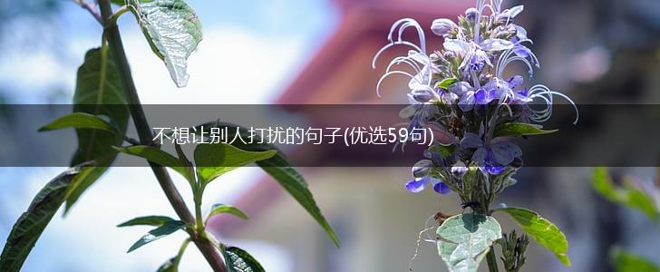 不想让别人打扰的句子(优选59句),第1张
