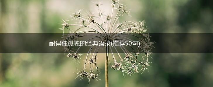 耐得住孤独的经典语录(推荐50句),第1张