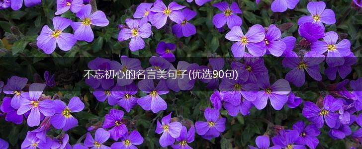 不忘初心的名言美句子(优选90句),第1张