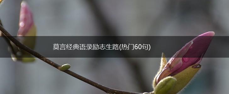 莫言经典语录励志生路(热门60句),第1张 莫言经典语录励志生路(热门60句),第1张