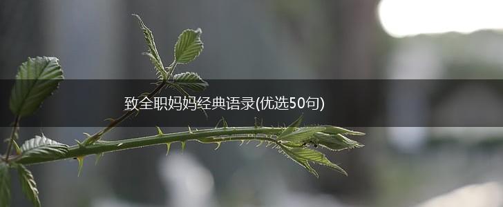 致全职妈妈经典语录(优选50句),第1张