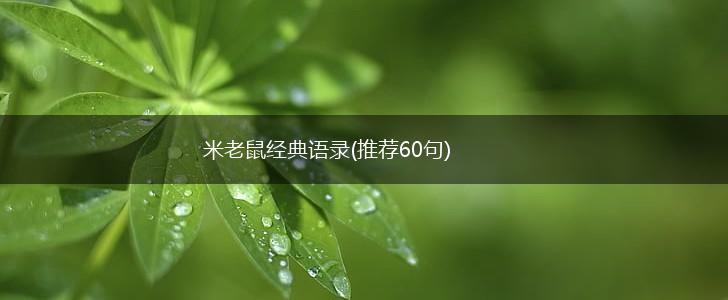 米老鼠经典语录(推荐60句),第1张