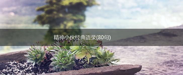 精神小伙经典语录(80句),第1张 精神小伙经典语录(80句),第1张