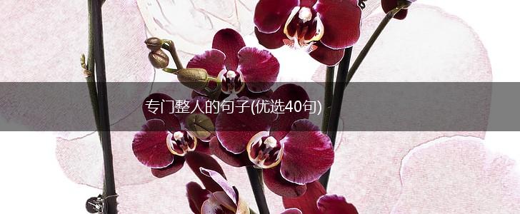 专门整人的句子(优选40句),第1张