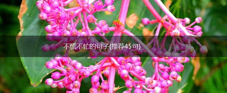 不慌不忙的句子(推荐45句),第1张