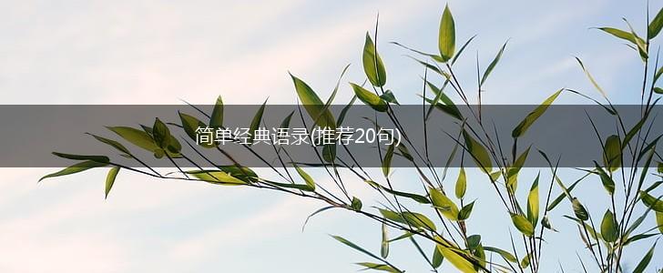 简单经典语录(推荐20句),第1张
