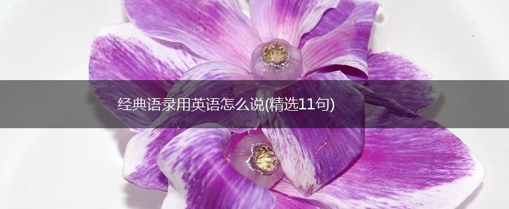 经典语录用英语怎么说(精选11句),第1张