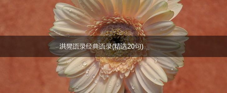 洪晃语录经典语录(精选20句),第1张