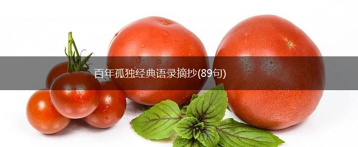 百年孤独经典语录摘抄(89句),第1张 百年孤独经典语录摘抄(89句),第1张