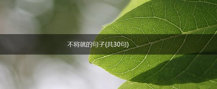 不将就的句子(共30句),第1张