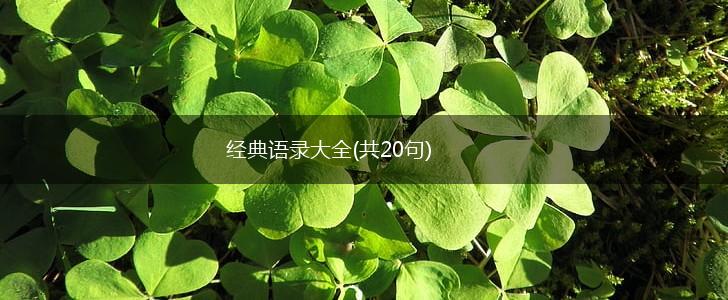 经典语录大全(共20句),第1张