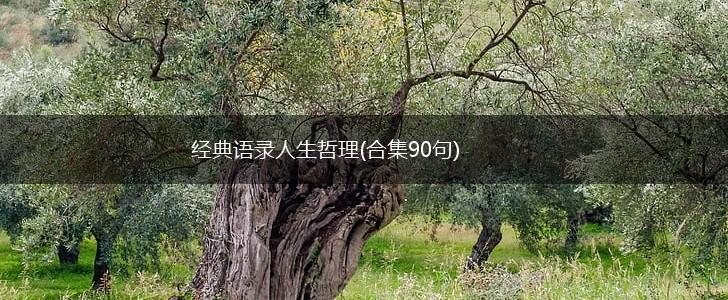 经典语录人生哲理(合集90句),第1张