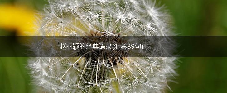 赵丽颖的经典语录(汇总39句),第1张