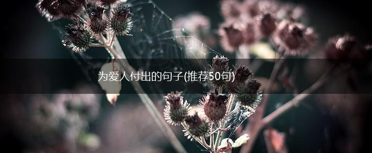 为爱人付出的句子(推荐50句),第1张
