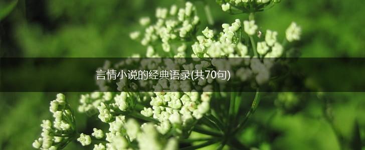 言情小说的经典语录(共70句),第1张