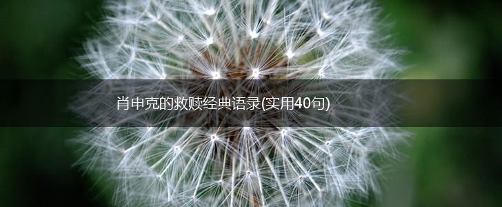 肖申克的救赎经典语录(实用40句),第1张