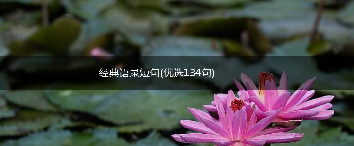 经典语录短句(优选134句),第1张