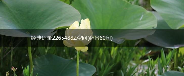 经典语录2265488Z空间(必备80句),第1张