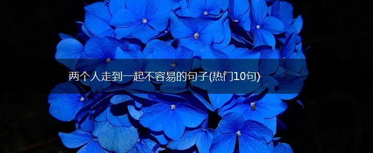 两个人走到一起不容易的句子(热门10句),第1张